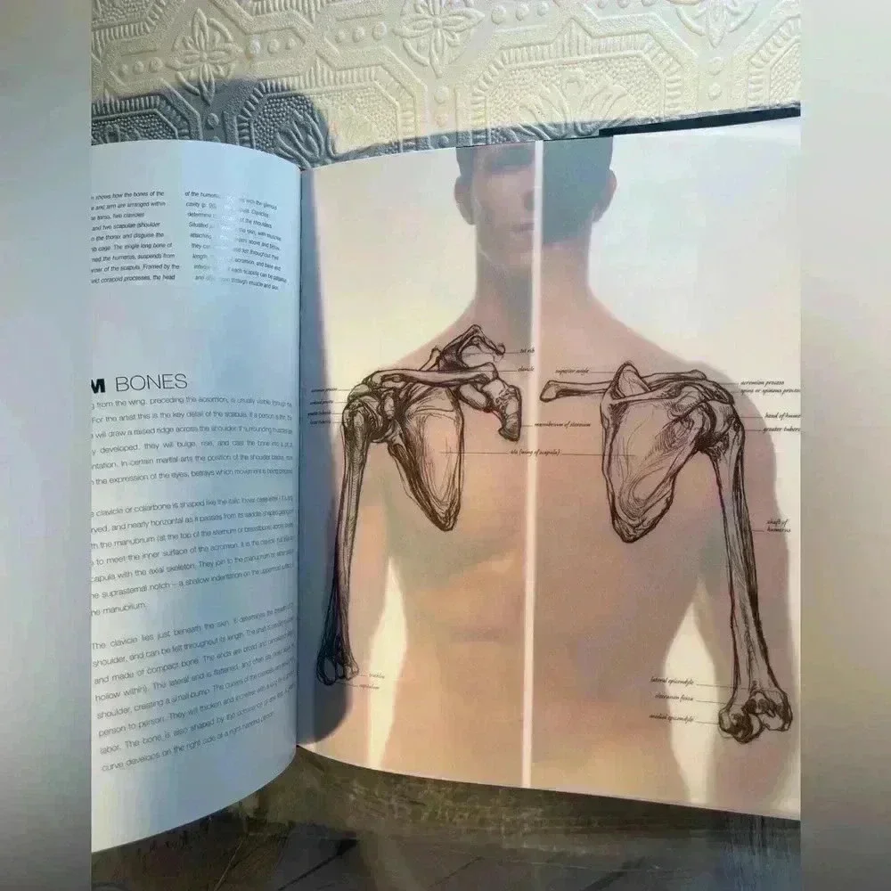 Anatomy for The Artist Book by Sarah Simblet - Picture 12 of 16